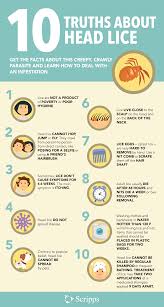 How To Get Rid Of Head Lice Head Louse Louse Head Lice Removal
