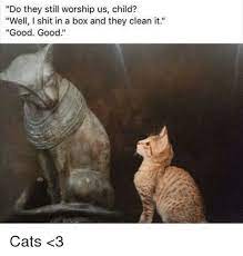 Pin On Cats