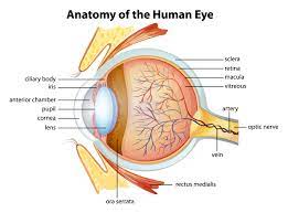 How To Relieve Burning Eyes From Chlorine