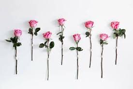 Find out more about the interesting history behind the year's most romantic holiday with candy and flowers might be some of the most common gifts for valentine's day, but according to the national retail federation, the category that. Valentine S Day Flowers Shopping Smarts Las Vegas Review Journal