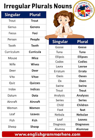 In other words, mass nouns refer to things that cannot be counted (e.g., oxygen, air, food). Irregular Plurals Definitions List And Example Sentences English Grammar Here
