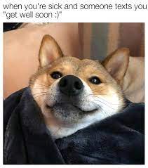 Wholesome Memes Get Well Soon If You Re Sick Facebook