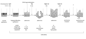 A 27 yo woman with fever, malaise, abdominal pain, vaginal discharge for 4 days. Http Mediatum Ub Tum De Doc 806929 Document Pdf