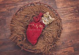 Learn more about newborn kittens in our kitten guide This Family Did A Newborn Photo Shoot For Their Kitten And It S Absolutely Purrfect Meowacat