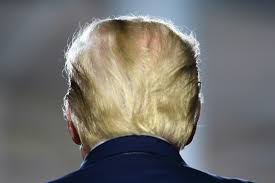 Des Hommes En Noir Dans Un Avion Trump Attise Les Theories Du Complot Challenges