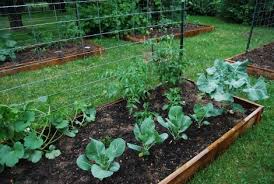 If there's an area that looks like it would be great for a community garden, you'll have to identify the landowner and ask for permission to use the property. Growing Together How To Start A Community Garden