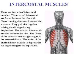 When your baby pressures your ribs, you may feel a sharp pain, and it will make your breathing difficult. Pin On Shoulder Pain Research