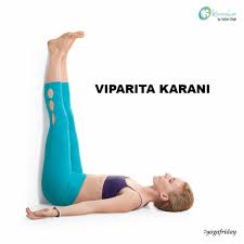 Pin On Hatha Asanas Suelo