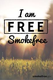  Pin On Quitspiration Celebration