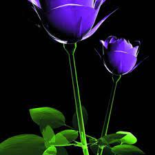 All high quality phone and tablet hd wallpapers on page 1 of 148664 are available for free download. Free Hd Wallpapers Download For Mobile Group 73