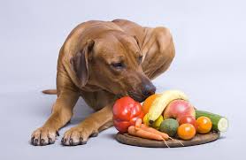 Dog Friendly Fruits And Vegetables Help Em Up