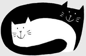 Gatto Nero Gatta Bianca Gatto Bianco Arte Gatto Nero Illustrazioni Di Gatto