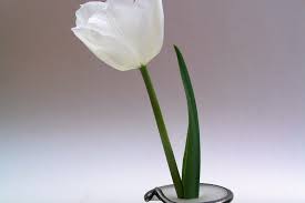 The victorian language of flowers was used to convey romantic expressions: Sympathy Flowers Etiquette Emily Post