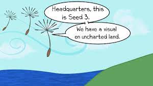 Genetic driftpopulations can.genetic drift is simply a change in the frequency of alleles in a population. Http Www Amoebasisters Com Uploads 2 1 9 0 21902384 Video Recap Of Genetic Drift By Amoeba Sisters Pdf
