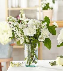 Beverly Carleen Logston Obituary (2024)