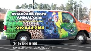 Establish in 1996 as north carolina's first 100% pet bird and exotic animal veterinary practice Avian And Exotic Animal Care 8711 Fidelity Blvd Raleigh Nc 27617 Yp Com