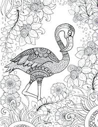 Doodle coloring page for adults and kids. Adult Coloring Pages Flamingo Coloring Pages Blog Attachment