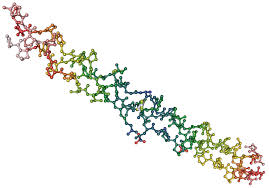 Image result for protein classification