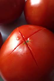 How to freeze and store tomatoes. How To Store Fresh Tomatoes Foodal