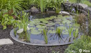 Namun membuat kolam ikan hias tidaklah semudah yang kita bayangkan. 15 Ide Desain Kolam Ikan Depan Rumah Modern Kekinian