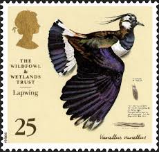 Royal Mail Special Stamps The Wildfowl And Wetlands Trust 1946 1996 In 2020 Postage Stamps Uk Postal Stamps Uk Stamps
