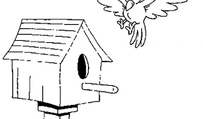Spring, also known as springtime, is one of the four temperate seasons, succeeding winter and preceding summer.there are various technical definitions of spring, but local usage of the term varies according to local climate, cultures and customs. Birdhouse Coloring Page Coloring Home