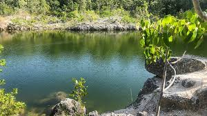 A unique resident of north key largo is endemic, meaning that it is found in the wild only here and nowhere else in the world. Key Largo Hammock State Park Florida Hikes