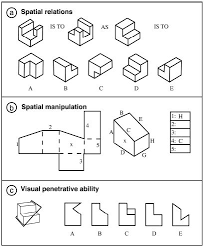 Pin On Visual Perception And Processing