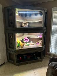I bought my fiancé a bearded dragon 3 years ago. Finished Double Bearded Dragon Cage Beardeddragons