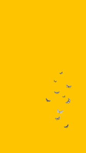 Tumblr is a place to express yourself, discover yourself, and bond over the stuff you love. Yellow Wallpaper Yellow Wallpaper Wallpaper Aesthetic Wallpapers