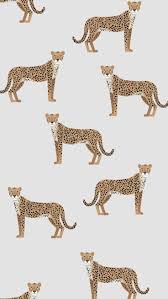 Cheetah Pattern Prints Wallpaper Pattern Art