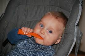 Gill rapley has 29 books on goodreads with 14510 ratings. Baby Led Weaning Mit Dem Buch Von Gill Rapley Ein Erfahrungsbericht