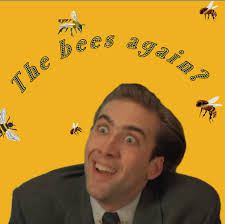 What do you think of the Slaughter House movie 😉