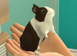 Is there any way to get a pet mod without the expansion pack? The Sims 4 Bunnies And Squirrels And Chipmunks Oh My Simsvip