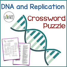This Crossword Puzzle Contains 39 Key Terms That Students Should Know When Studying Dna And Biology Interactive Notebook Dna Quiz Transcription And Translation