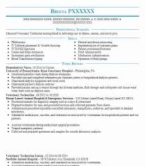 Hemodialysis Nurse Resume Example Nursing Resumes Livecareer
