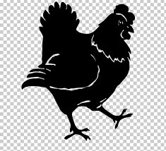 Download hen images and photos. Rooster Chicken Hen Garden Poule Pondeuse Png Clipart Animals Beak Bird Black And White Chicken Free