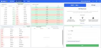 Arkonix account me dollar hai usko wazir x me kaise lana hoga pata nhi hai. How To Access Wazirx From Binance Exchange Part Vi Bitcoin Crypto Guide Altcoin Buzz