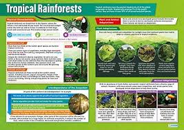 Www.internetgeography.net tropical rainforest biomes are located in all over the world in the tropics. Amazon Com Tropical Rainforests Geography Posters Gloss Paper Measuring 33 X 23 5 Geography Classroom Posters Education Charts By Daydream Education Office Products