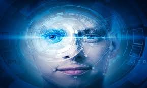 lawjournalnewsletters.com