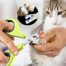 We considered a variety of factors, including the type of clipper, ease of use, overall effectiveness, and best cat nail clippers with led light: The 5 Best Cat Nail Clippers In 2021 Pawgearlab