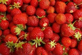 Fraise Saison Et Calendrier De La Fraise