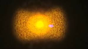 When this happens, betelgeuse will brighten enormously for a. Israeli Astronomers Catch First Hours Of Supernova The Times Of Israel