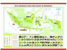 Peta persebaran fauna dan flora di indonesia. Persebaran Flora Dan Fauna Di Indonesia Beserta Gambarnya Teks Co Id