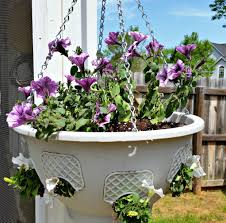 Grow Beautiful Plants With Plantopia Hanging Baskets Mothersday Giveaway Plants Hanging Garden Hanging Baskets