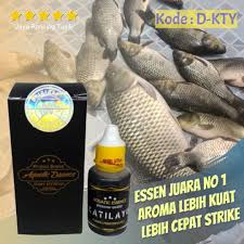 Essen Katilayu Amis Ikan Mas Essen Ikan Mas Ikan