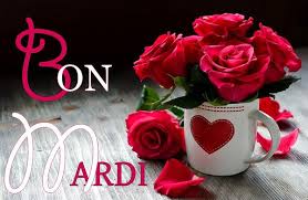 Résultat de recherche d'images pour 