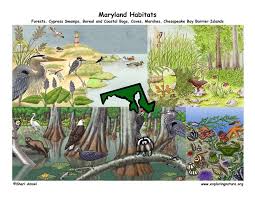 Maryland legislature, state agencies and exotic animal laws. Maryland Habitats Mammals Birds Amphibians Reptiles