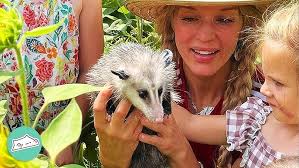 Life After Survivor: Dolly Neely's Animal Rescue & Influencer Fame