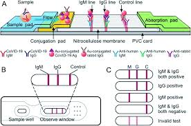Molecular and antigen tests are performed using samples taken mostly from the nose and throat using a long swab, or other respiratory specimens. A Facile Assay For Rapid Detection Of Covid 19 Antibodies Rsc Advances Rsc Publishing
